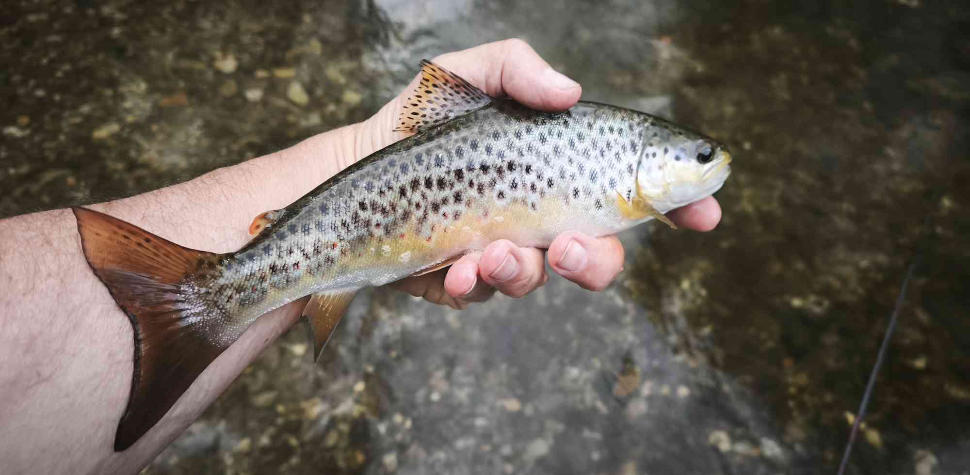 IMG_20260423_203429 copie