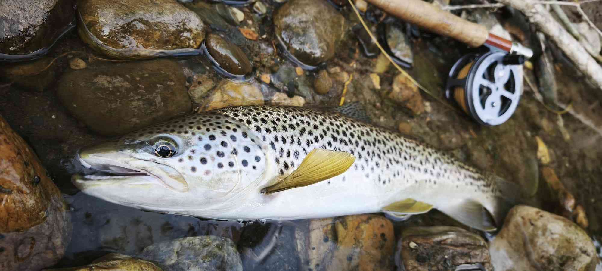 IMG_20260424_191439 copie