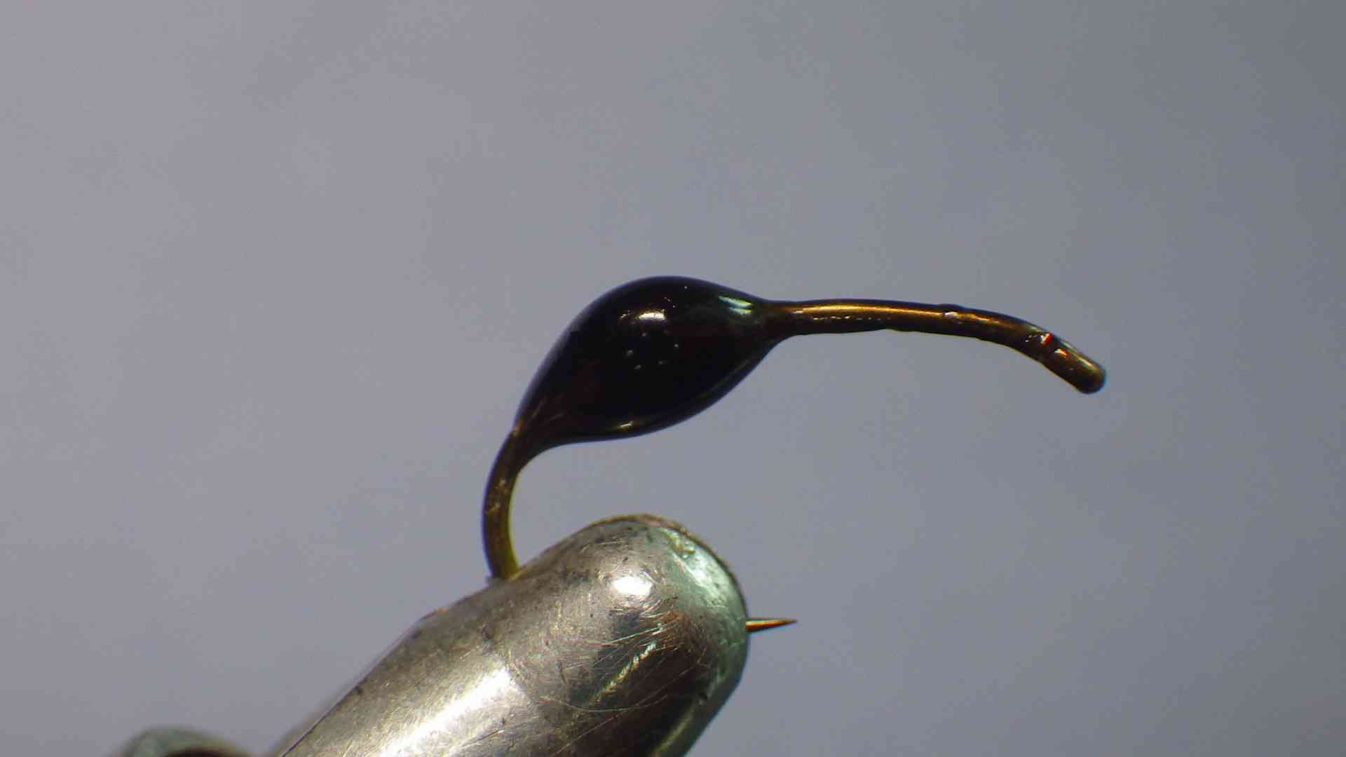 IMGP0014