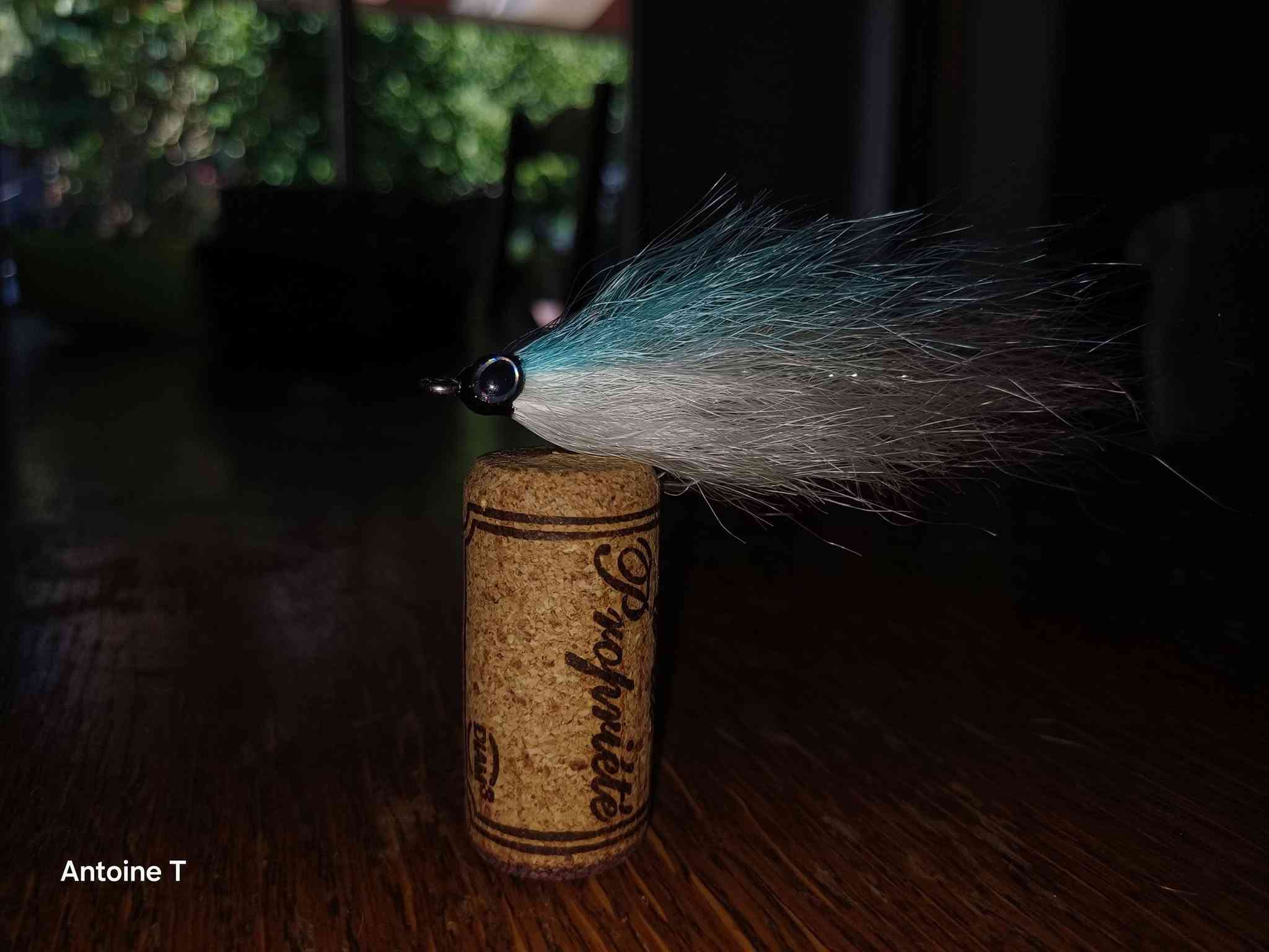mouche 5