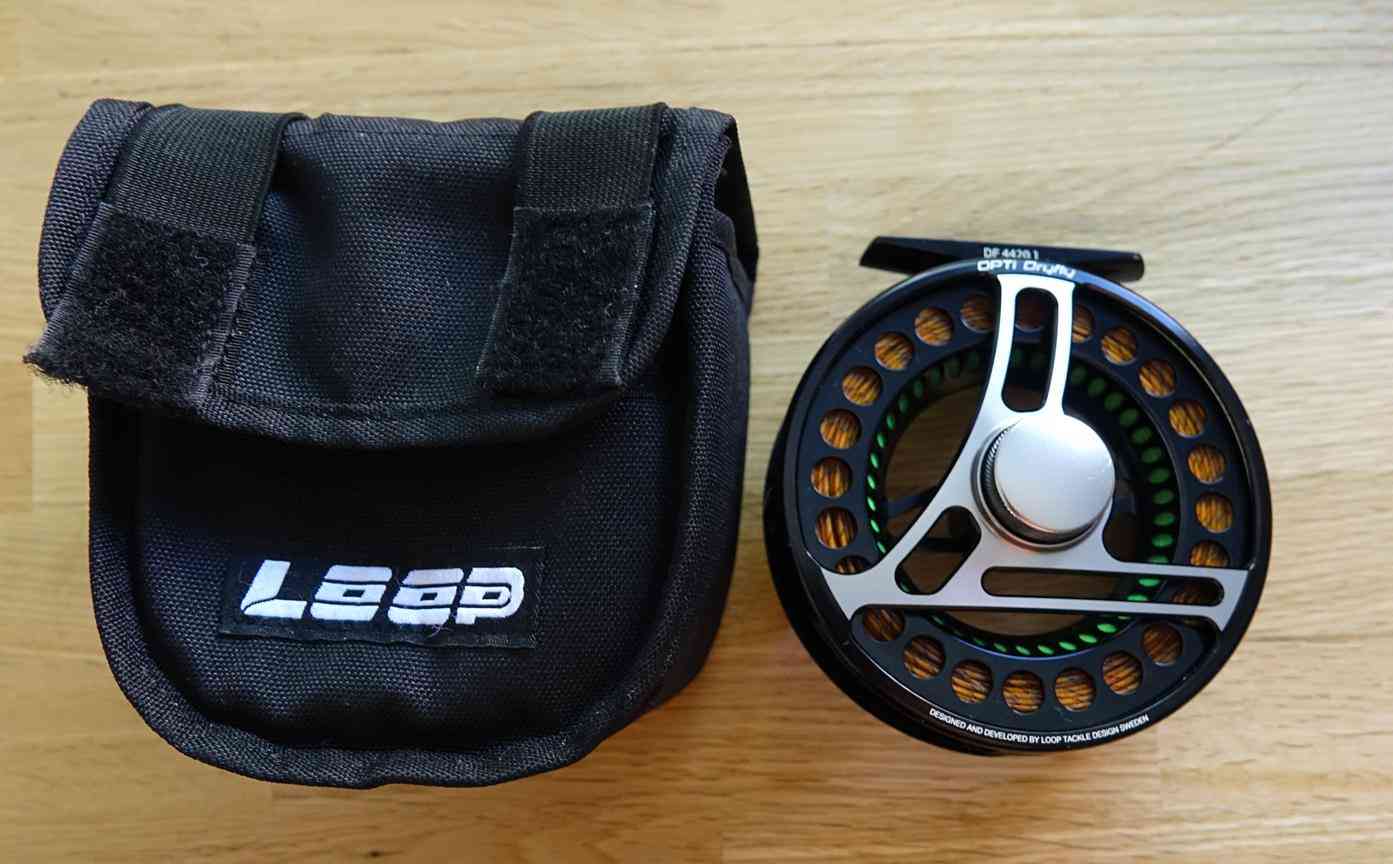 Loop 1 (Copy)