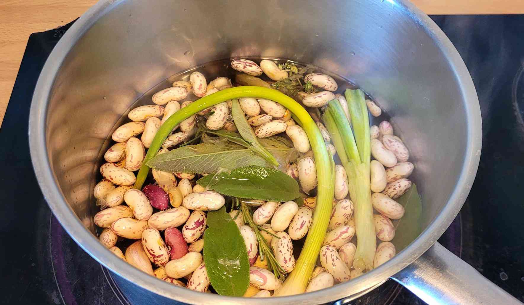 Haricots 2 (Copy)