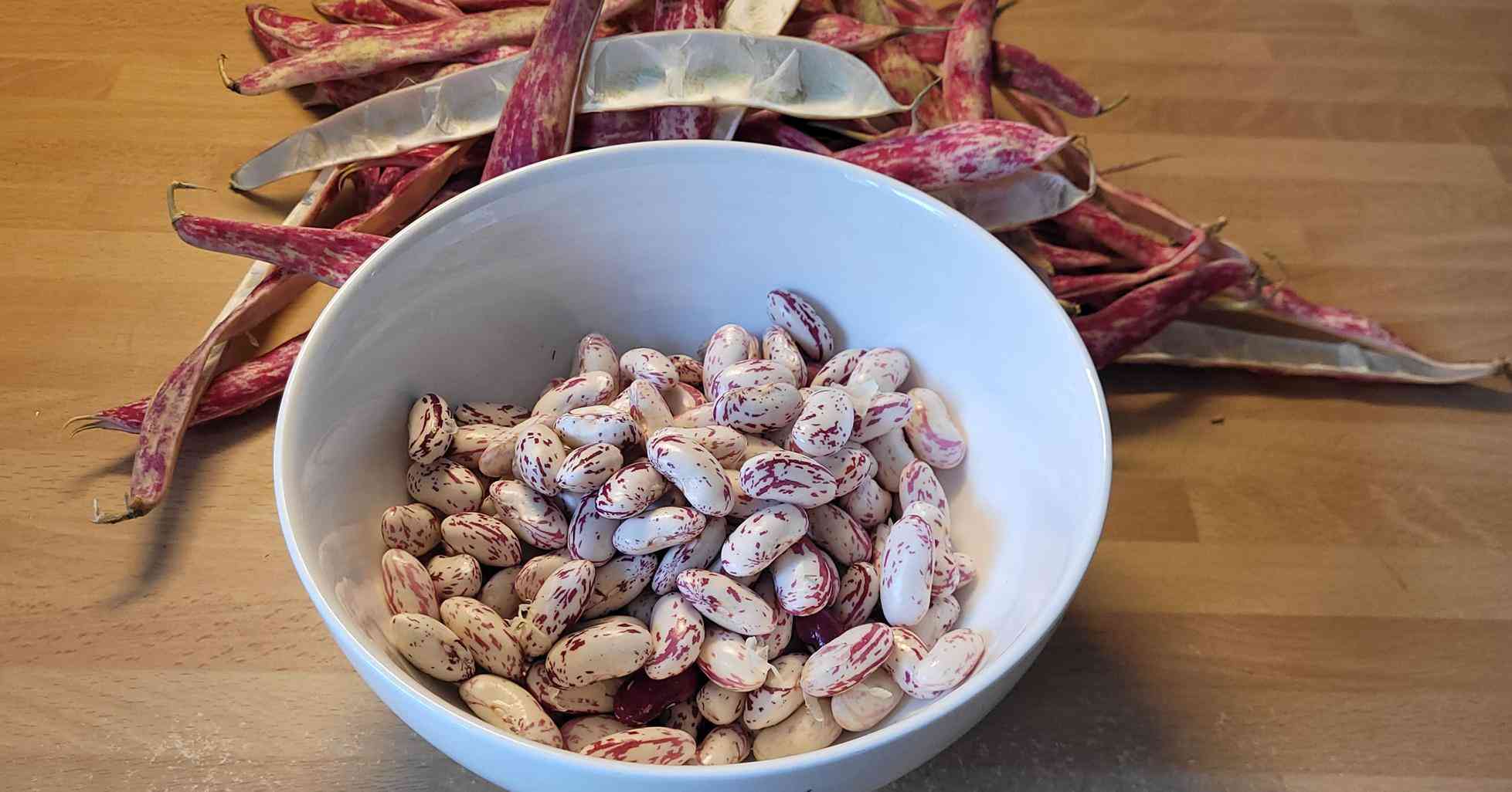 Haricots 1 (Copy)