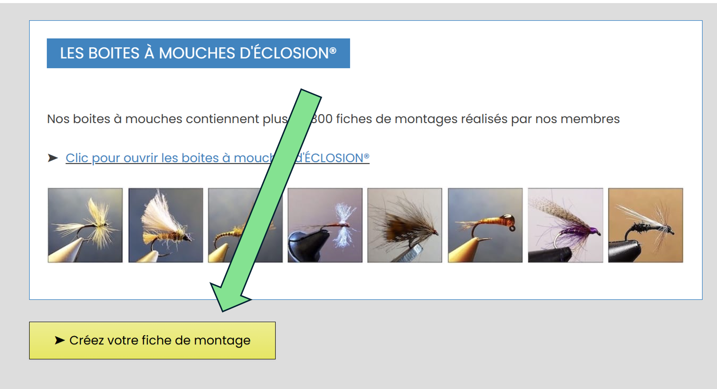 Capture ecran