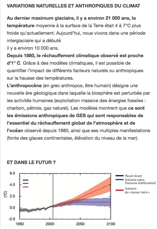 Ecran  2020-04-23 à 13.36.37