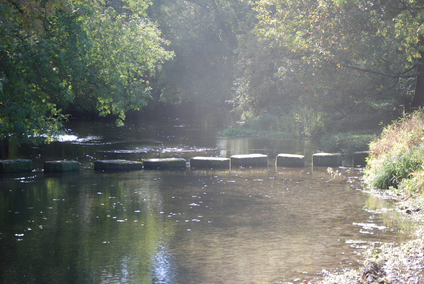 DSC_0088 copie