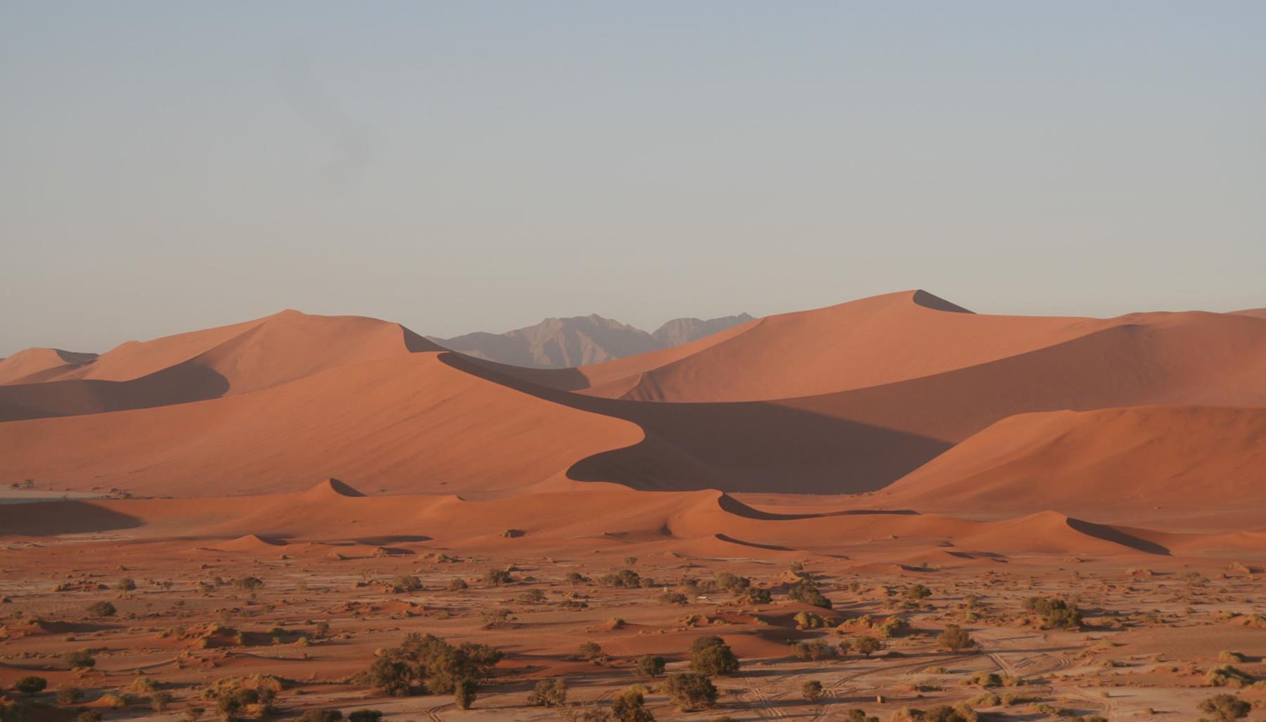 Namib 1 (Copy)