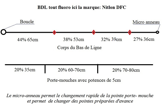 bdl noyée image