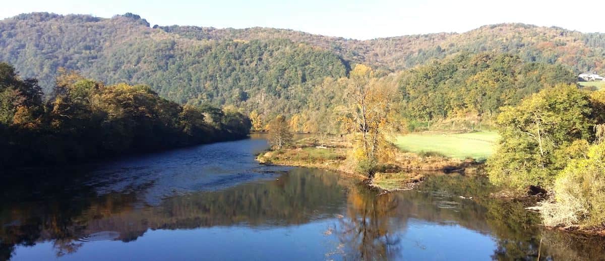 Pont de Monceaux sur Dordogne - gobage