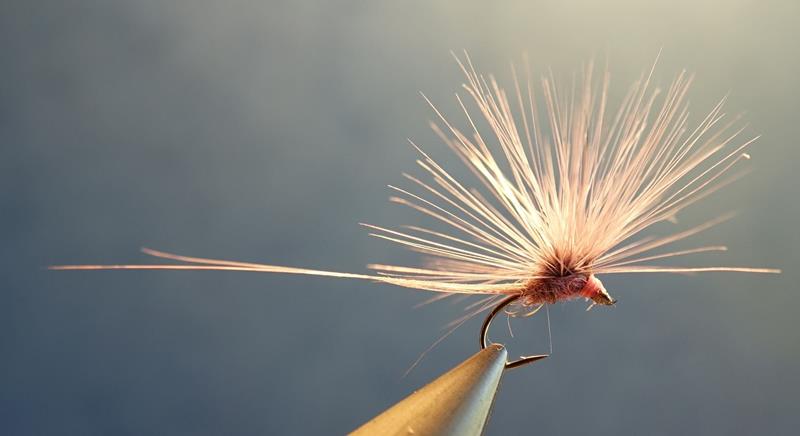 Branko killer paraloop mouche fly tying eclosion coq i,ndien hackle 1 (Copy)