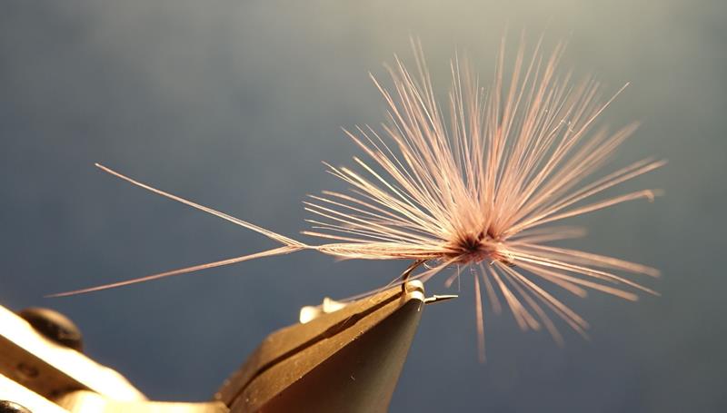Branko killer paraloop mouche fly tying eclosion coq i,ndien hackle 2 (Copy)