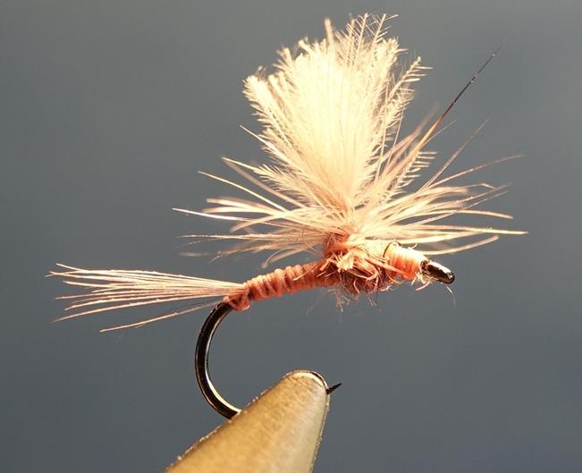 Branko killer mouche fly tying eclosion (Copy)