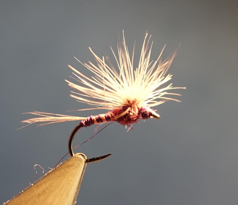 Paraloop violet mauve fly tying mouche eclosion (Copy)