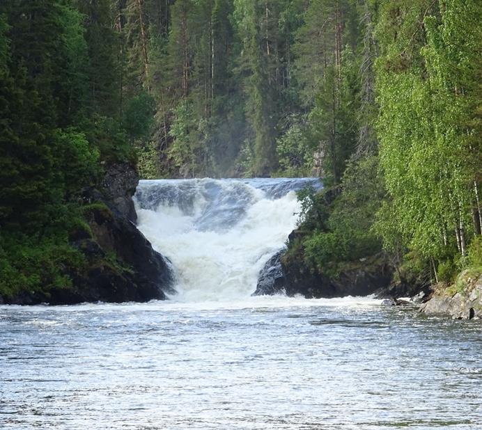 rivière a saumon (Copy)