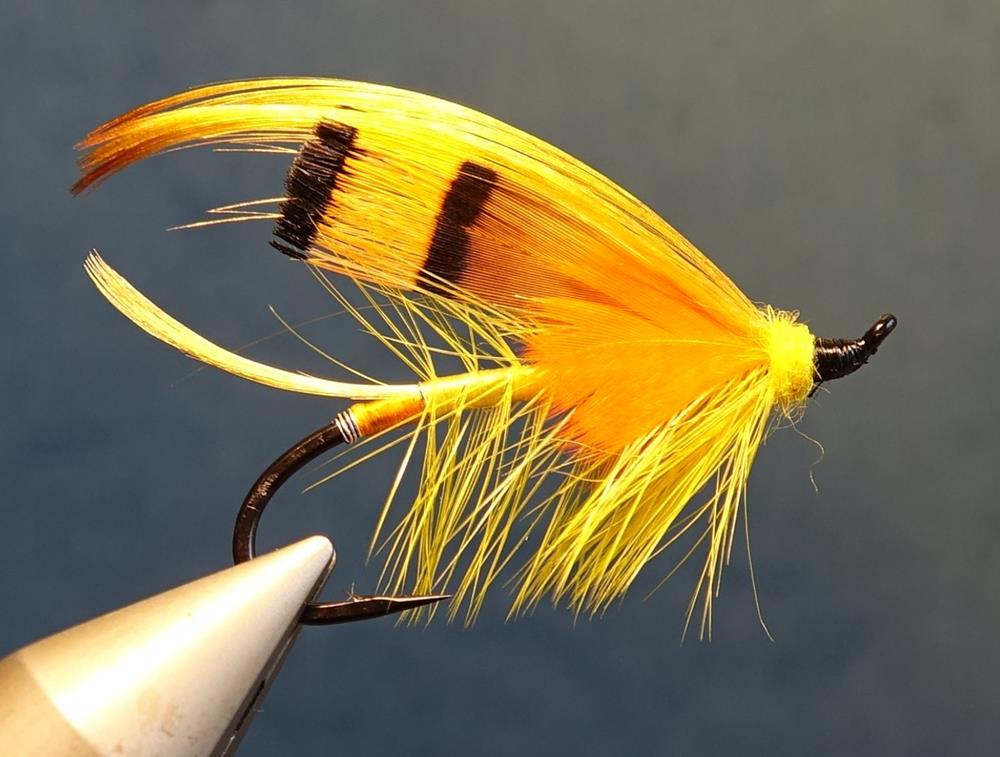 Parson fly mouche saumon salmon victorian victorienne fly-tying eclosion Final (Copy)