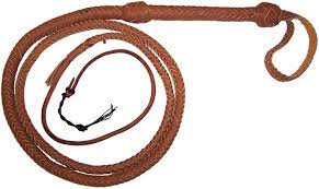 bullwhip