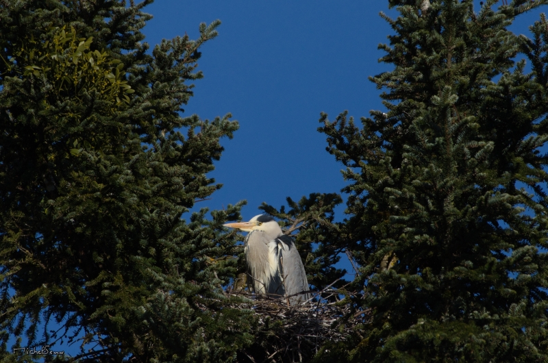 DSC_1645_resultat