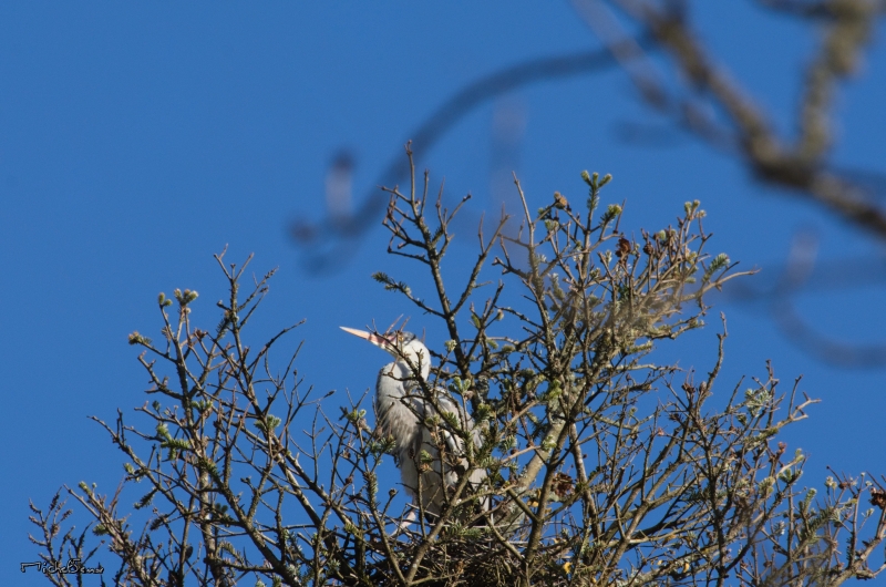 DSC_1648_resultat