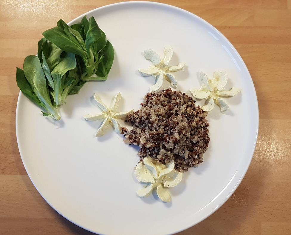 quinoa mache chantilly au haddock (Copy)