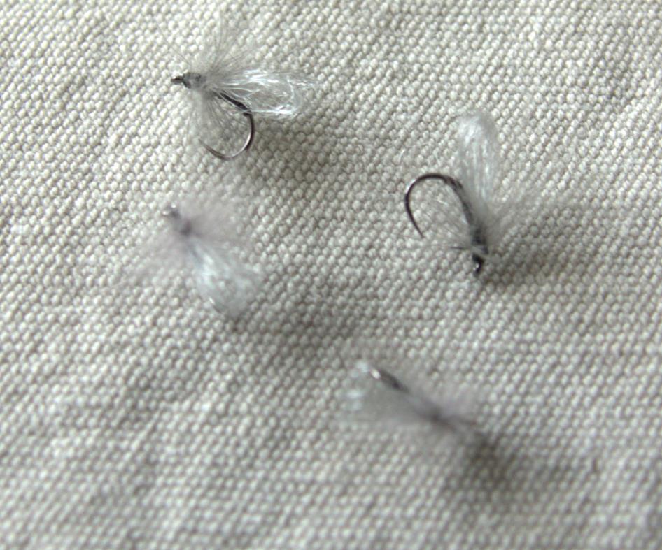 Sedge gris (Copy)
