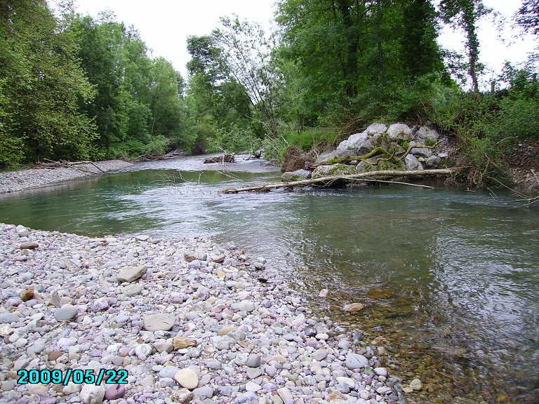 PICT0342