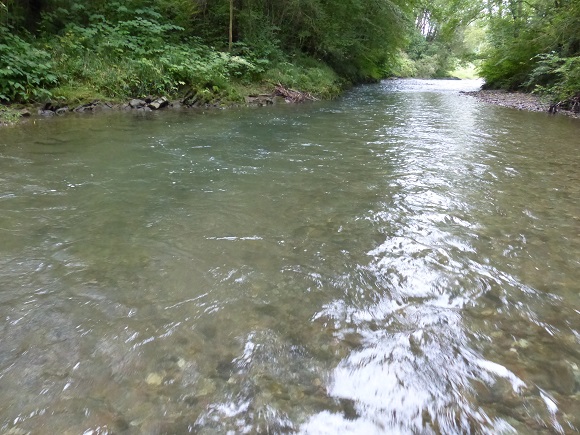 P1040690_riviere_Vert_Red