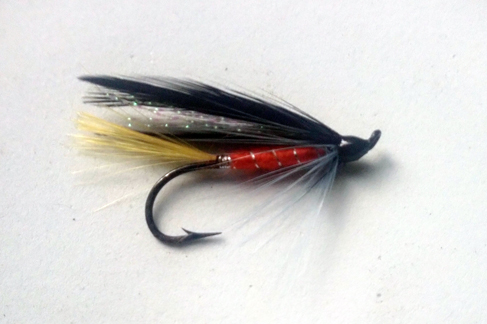 Black & Orange flat winged