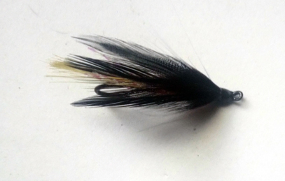 Black & Orange flat winged2