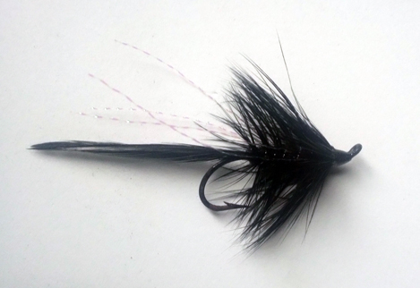 Flat Tailed Black Daemon 1