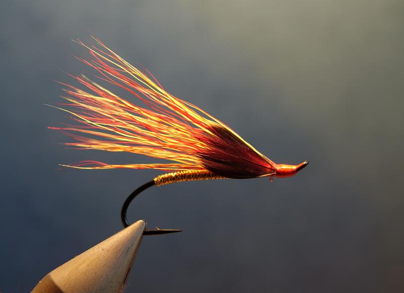Fire&Gold mouche fly salmon sea trout tying flytying eclosion 9 (Copy)