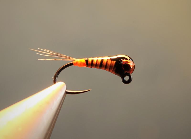 herl paon peacok flytying fly tying mouche teinture coloration eclosion perdigon 2 (Copy)