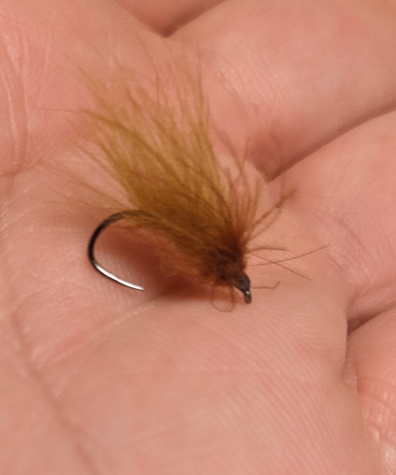 sedge cdc