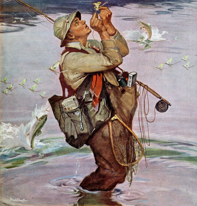 cover_9510519_clipped