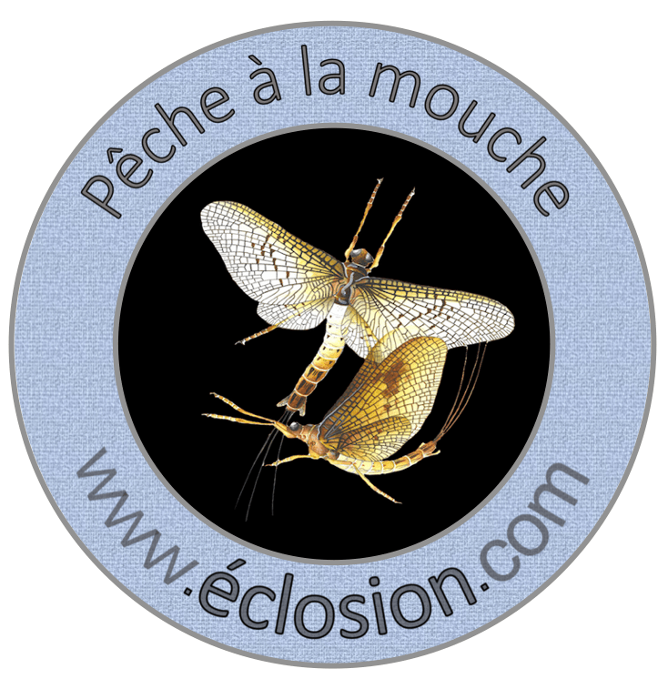 Capture d’écran 2022-01-27 à 10.25.33