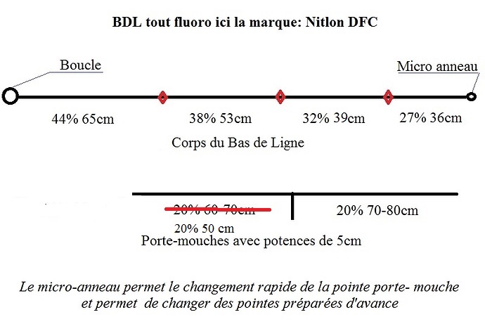 bdl noyée image