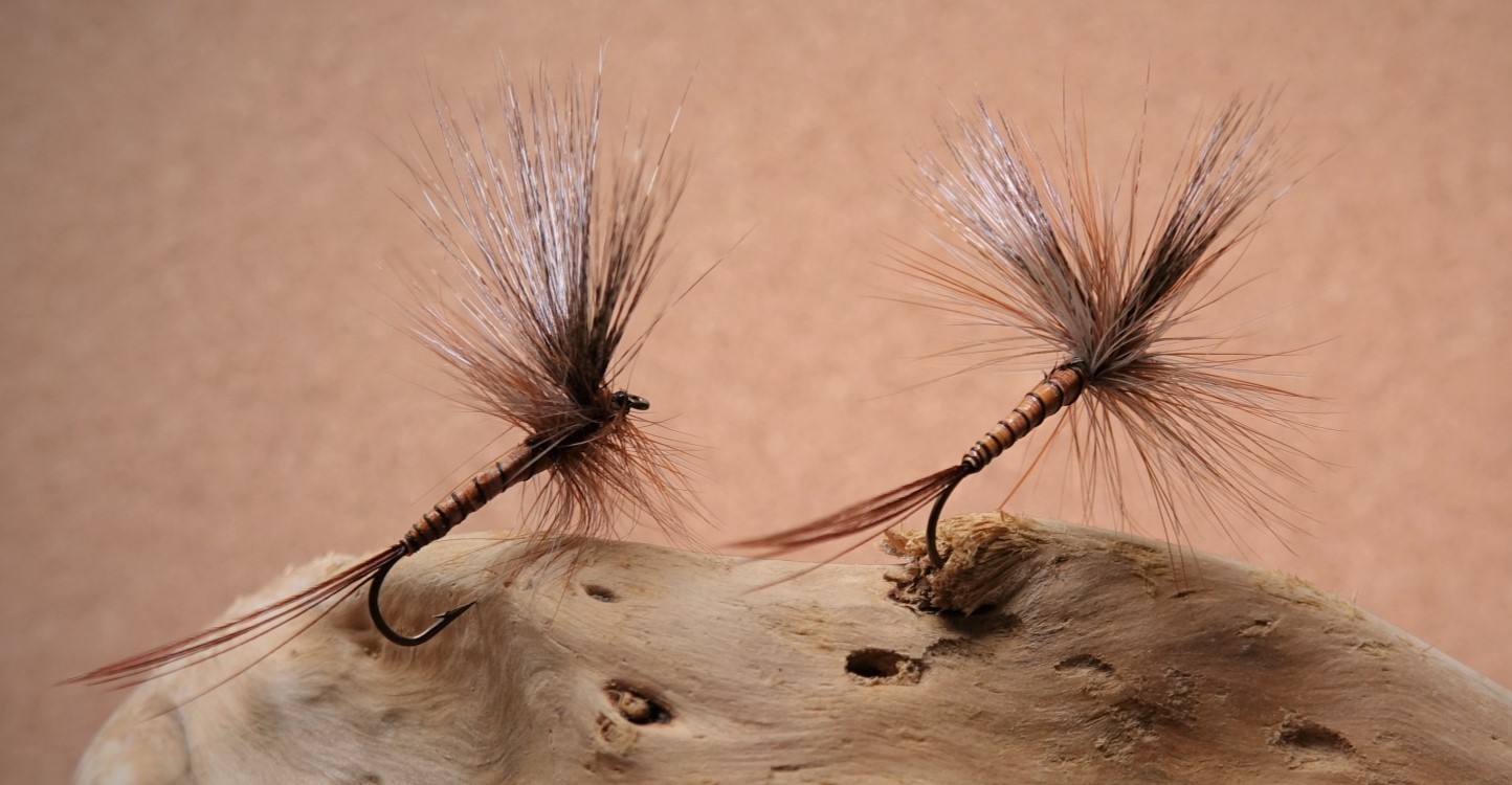 Mouche de Mai MDM mayfly dry fly flytying gallica eclosion BIS art