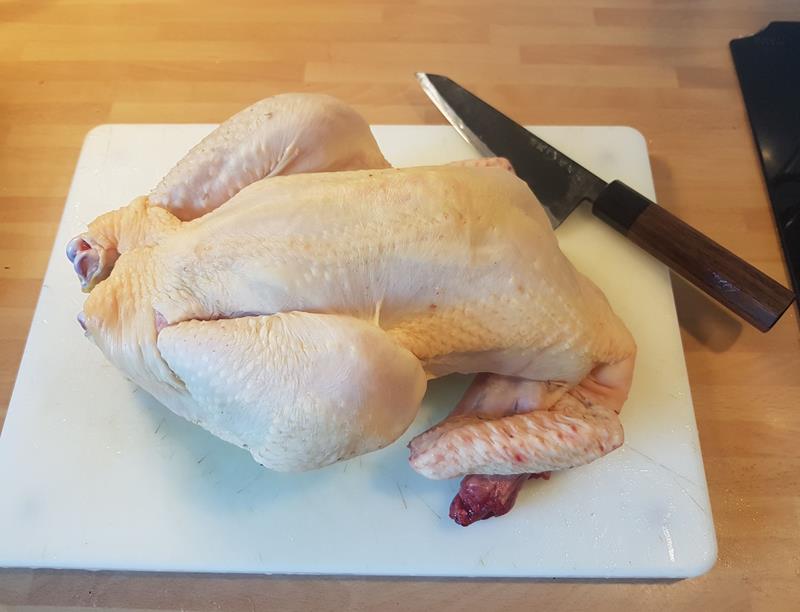 Poulet 1 (Copy)