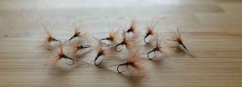 Montage avancé A4 adams mouche dry fly flytyting hackle CDC escadrille (Copy)