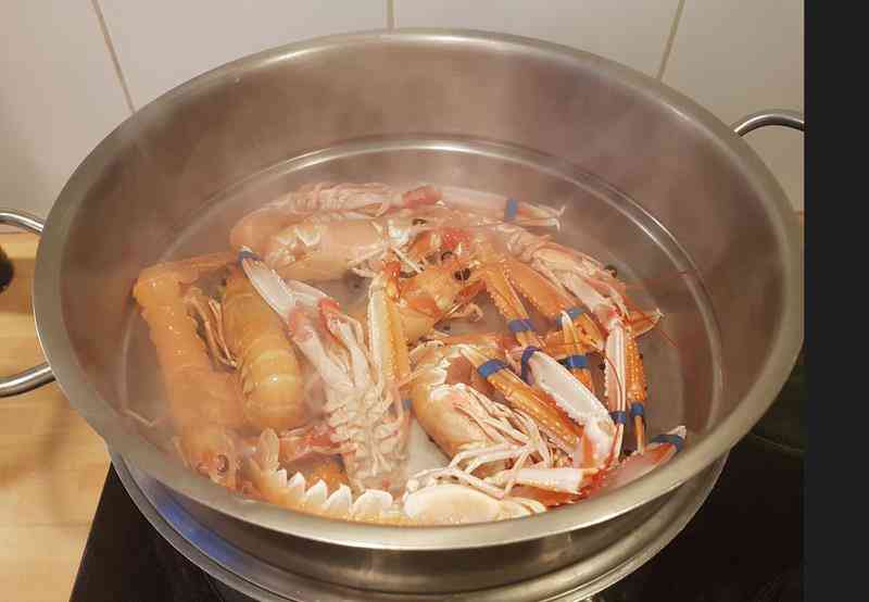 Langoustines 1 (Copy)