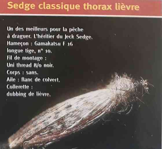 THORAX LIÈVRE