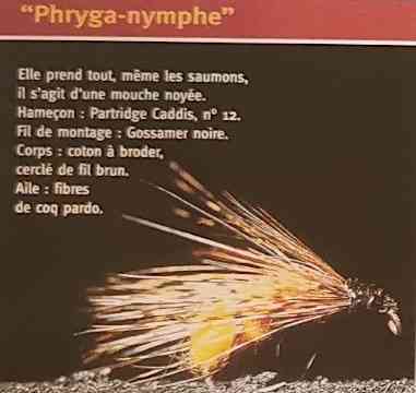 PHRYGA-NYMPHE
