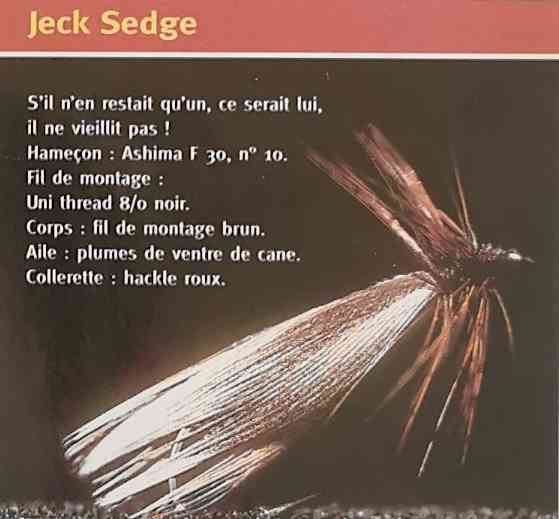 JECK SEDGE