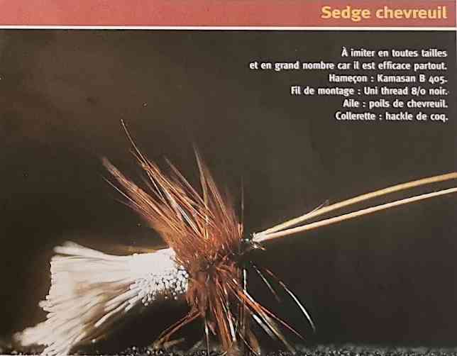 SEDGE CHEVREUIL