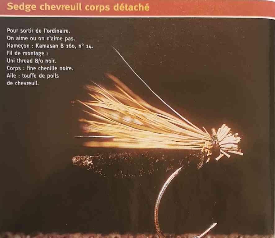 CHEVREUIL CORPS DÉTACHÉ