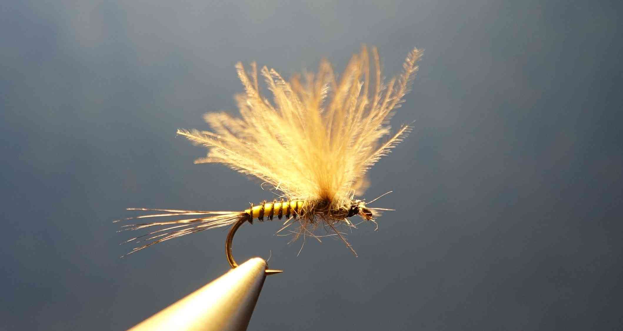 Herl plume mouche flytying eclosion final