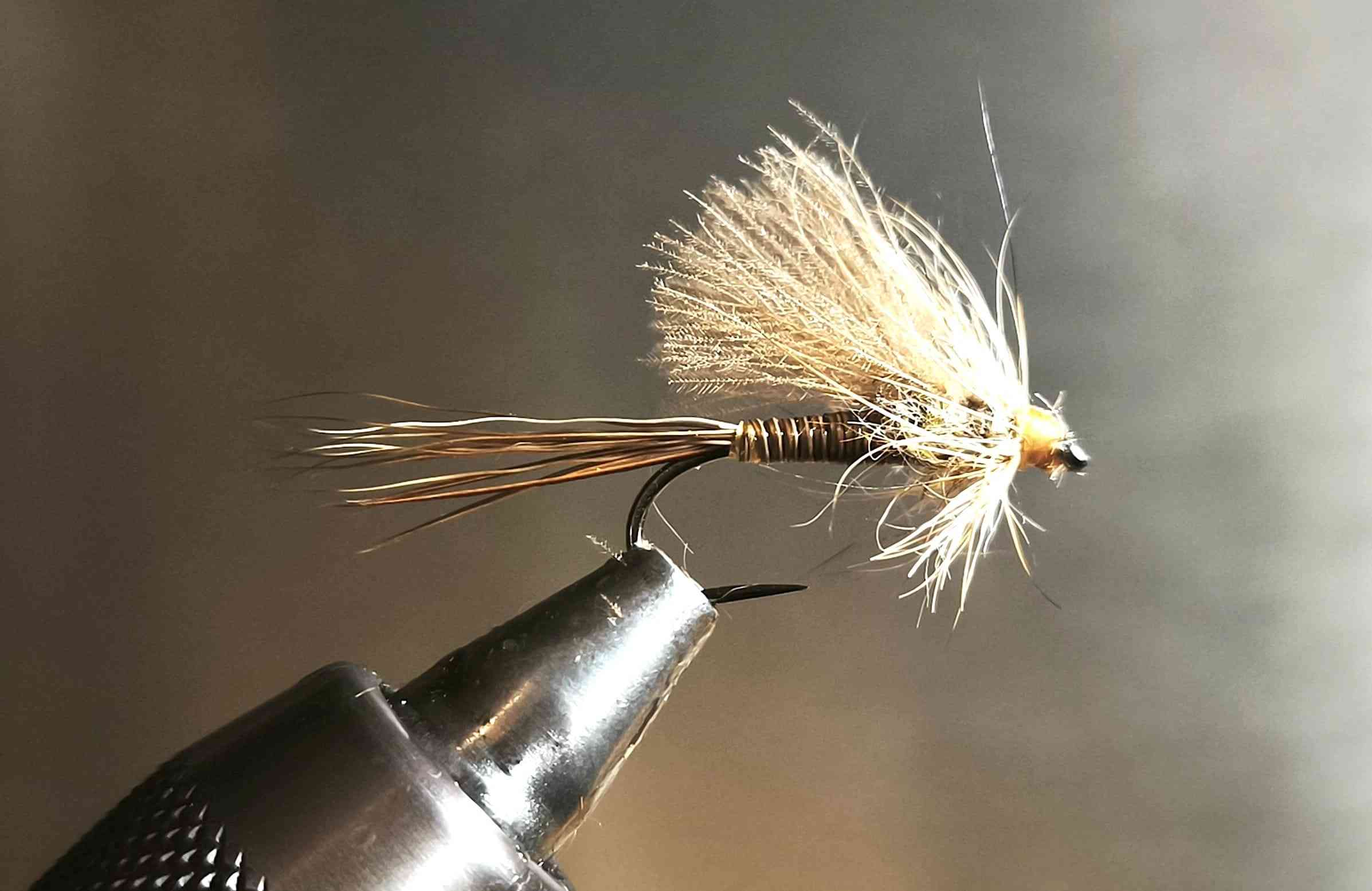 MARCH BROWN DESSAIGNE EN TÊTE copie