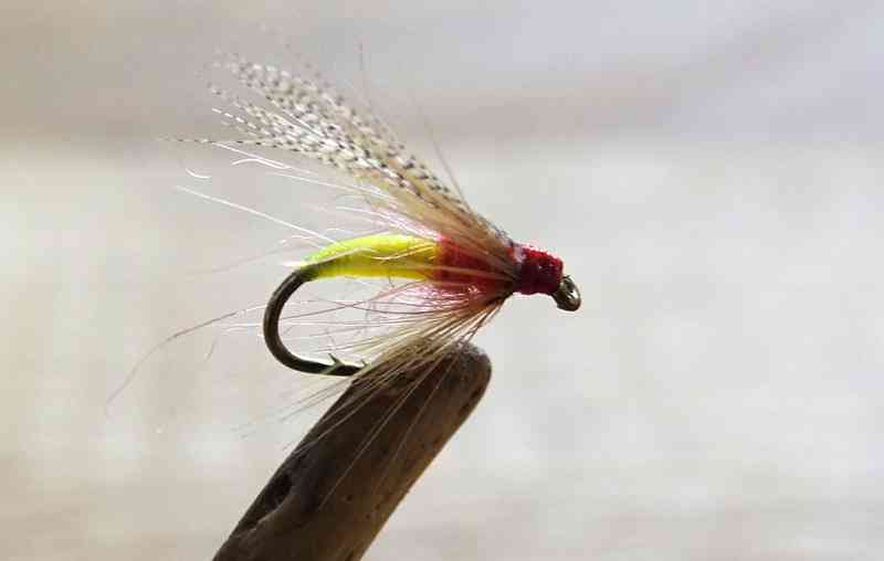 Durdent 1 (Copy)