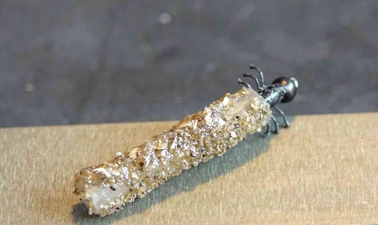 portebois