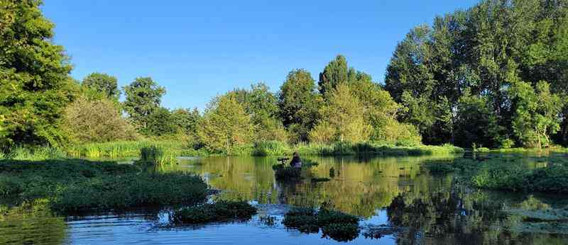 Truite touvre 3 (Copy)
