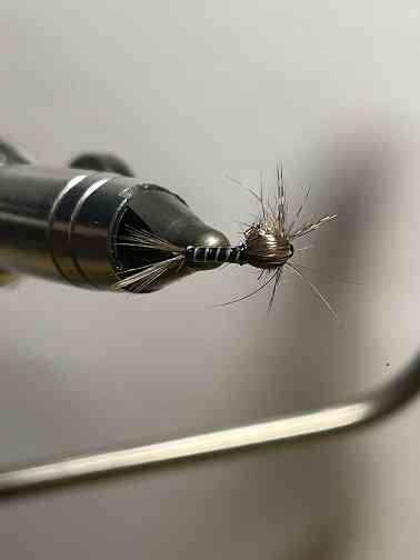 MOUCHE ECHANGE 2